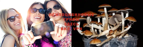 гашик Абдулино