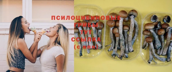 дмт Пролетарск