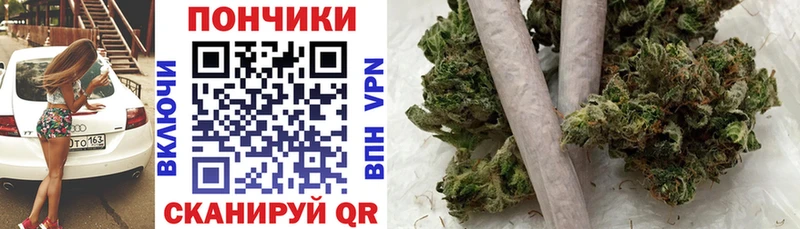 Бошки Шишки конопля  даркнет как зайти  Нестеровская 